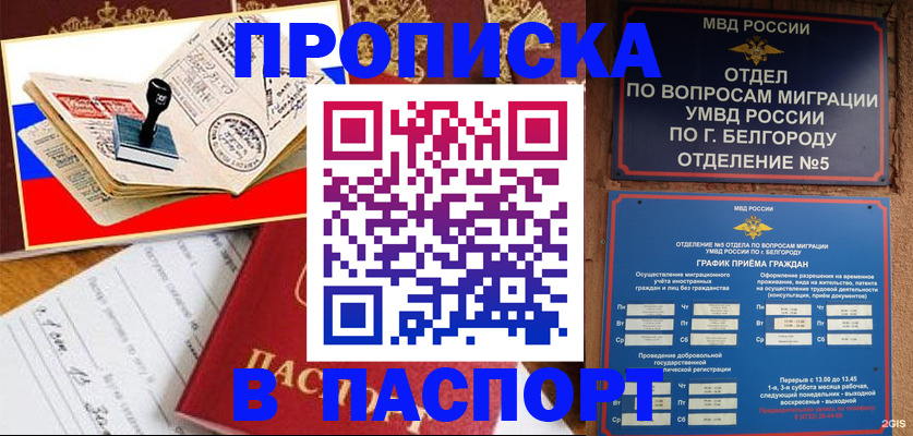 купить прописку в Сосенском